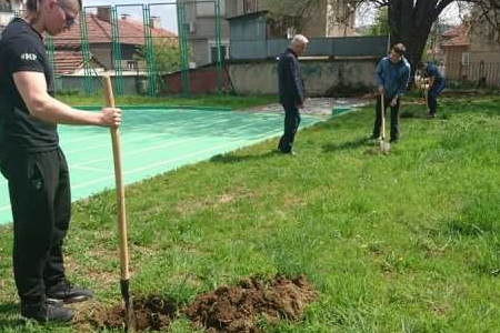 10 В клас засади дръвчета в двора на гимназията