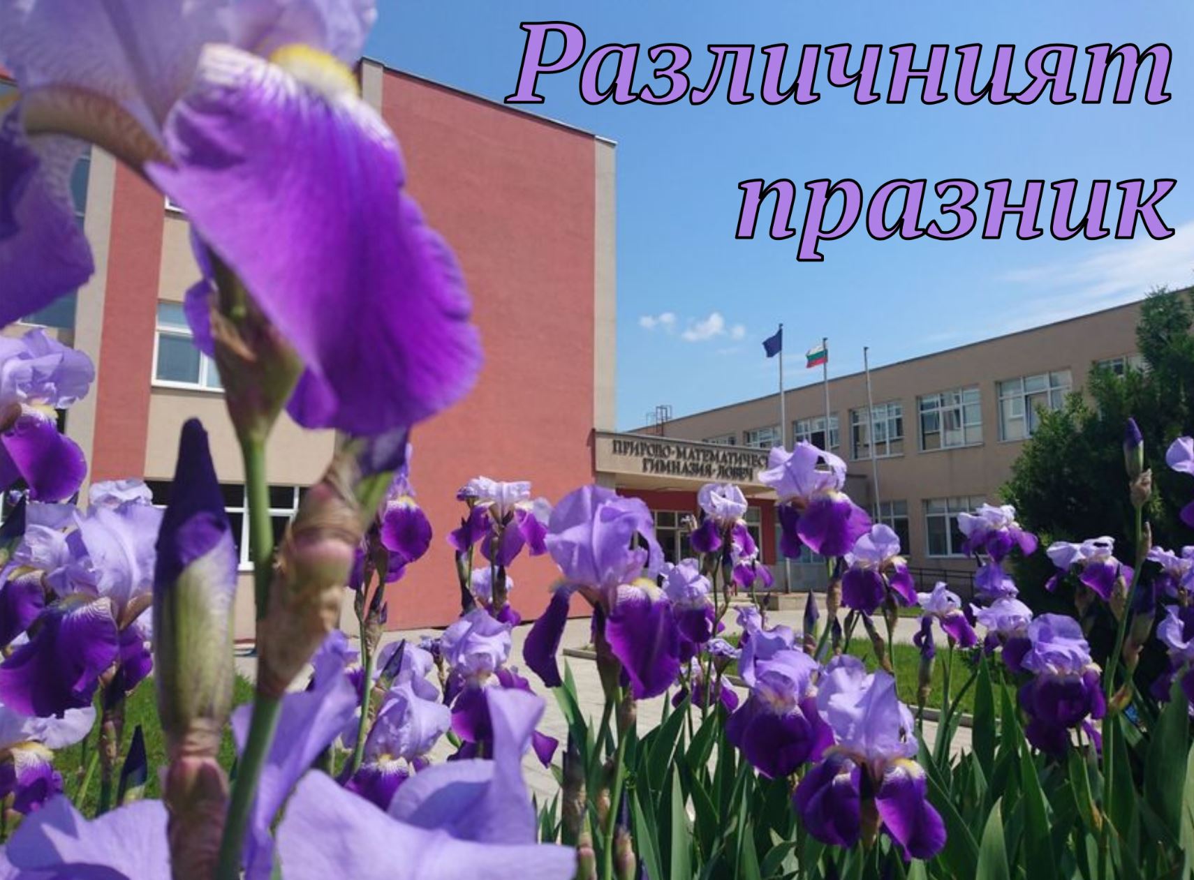 Математическата празнува