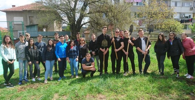 10 В клас засади дръвчета в двора на гимназията